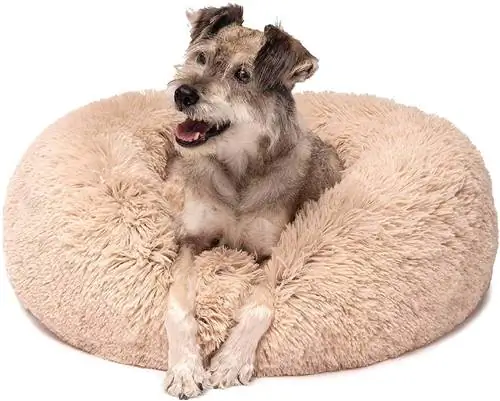 Donut Faux Fur Bed-Friends Forever-Amazon