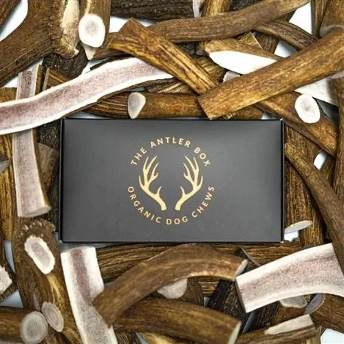 Premium Elk Antler Dog Chews-The Antler Box-Amazone