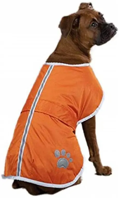 Selimut Anjing Poliester Coat-Zack dan Zoey-Amazon