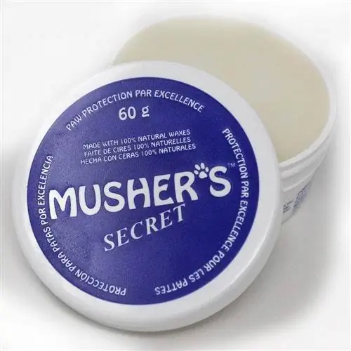 Pet Paw Protection Wax-Musher's Secret-Amazon