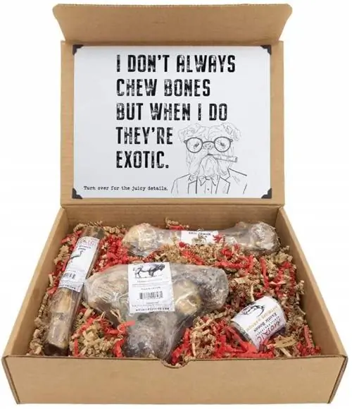 Limited Edition Dog Bone Gift Box-Mosaic-Amazon