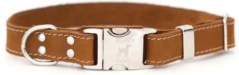 Euro-Dog leren halsband met snelsluiting