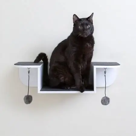 Étagère murale pour chat Hauspanther