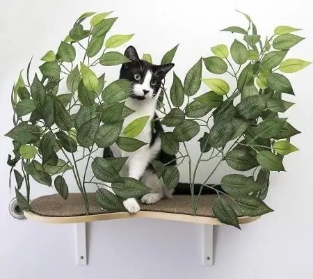 On2Pets Cat Canopy дубал текчелери