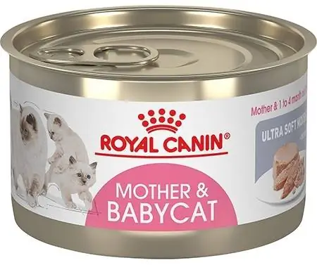 Royal Canin Mother & Babycat ულტრა რბილი მუსი სოუსში სველი კატის საკვები ახალი კნუტებისთვის და მეძუძური ან ორსული დედა კატებისთვის