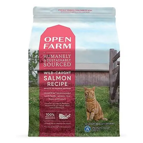 Comida para gatos con receta de salmón capturado en la naturaleza de Open Farm