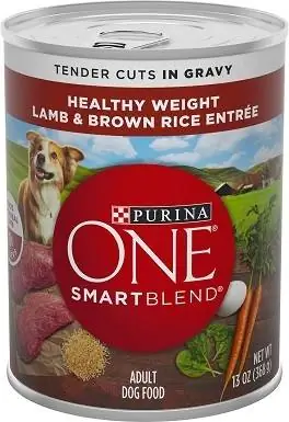 Purina ONE SmartBlend ጨረታ በ Gravy Lamb እና Brown ሩዝ ውስጥ ይቆርጣል