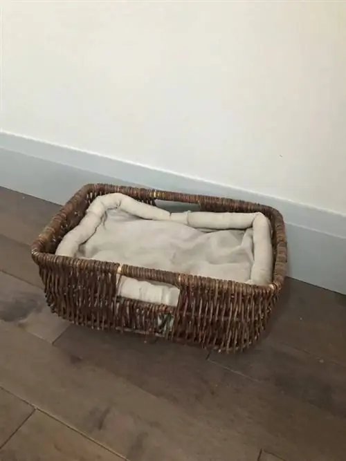 DIY Basket Cat Bed- Thrift Store Upcycle Challenge