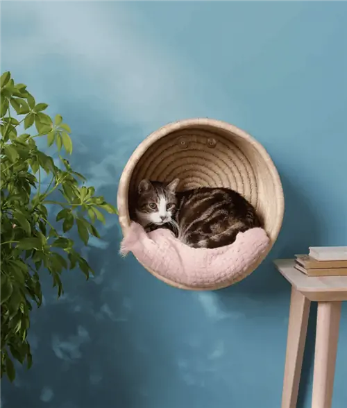 How_to_Make_a_Cat_Basket