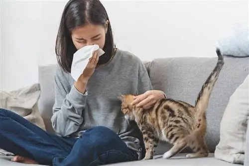 femme qui éternue en tenant un chat