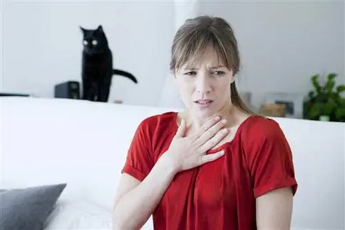 femme allergique aux chats