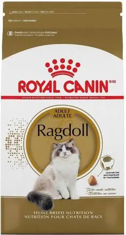 Hrana pentru pisici Ragdoll de rasa felina Royal Canin