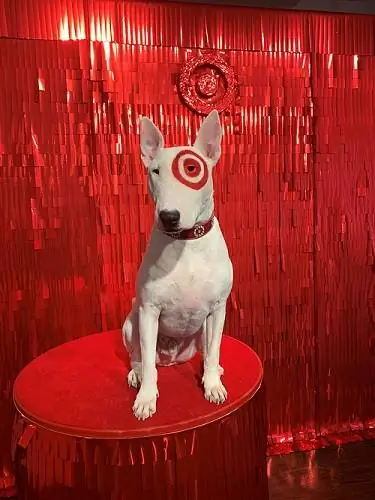 Kakav je pas ciljni pas? Bullseye The Target Dog's Story