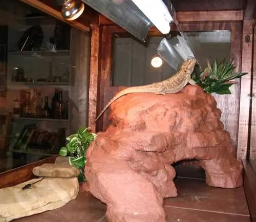 DIY Fake Rock Cave Sonnenplatz für einen Reptilienkäfig