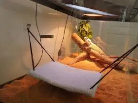 DIY ጺም ያለው Dragon Hammock