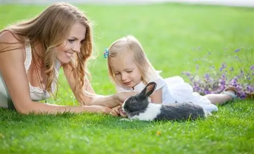 Junge Frau und ihre Tochter spielen mit einem Haustierkaninchen in einem Park_Photobac_Sutterstock