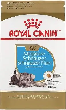 Anjing Schnauzer Miniatur Royal Canin