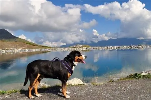 Veľká švajčiarska hora pri jazere