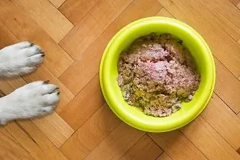 7 melhores alimentos úmidos para cães para misturar com secos – 2023 avaliações & principais escolhas