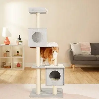 pisică în Frisco 62-in Modern Cat Tree & Condo