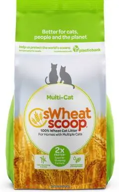 sWheat Scoop Multi-Cat Unscented Clumping Wheat Cat Litter