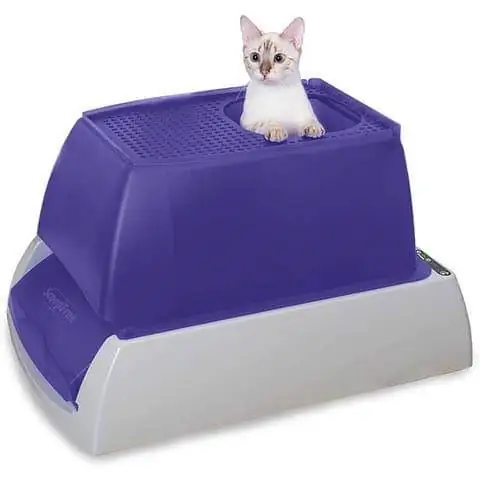 PetSafe ScoopFree original avtomatik o'zini o'zi tozalaydigan mushuk axlat qutisi Ultra