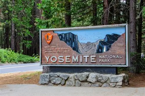 Er hunde tilladt i Yosemite National Park? 2023 Opdatering