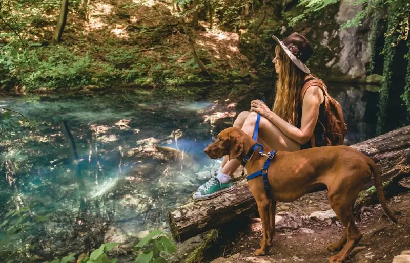 kobieta zabiera swojego psa Vizsla na wędrówkę lub spacer