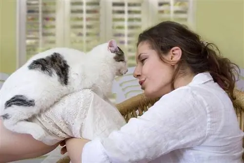 Frau spielt und redet mit ihrer Katze