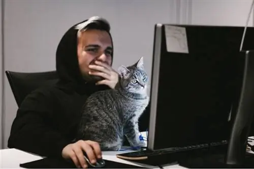 Der Mann arbeitet, während die Katze ihn unterbricht