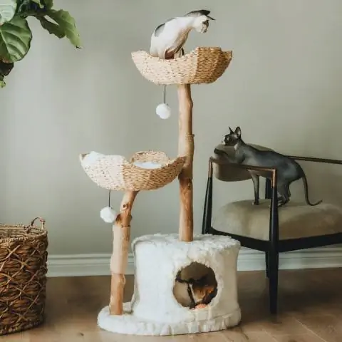 Mau Lifestyle Cento Arbre à chat en bois moderne de 46 po et condo