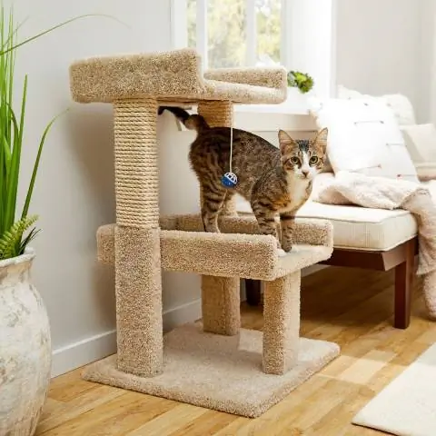 Arbre à chat en bois véritable tapis Frisco de 32 po avec jouet