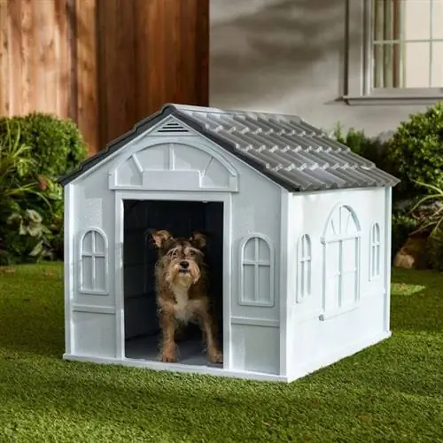 Frisco Deluxe Plastic Outdoor Dog House