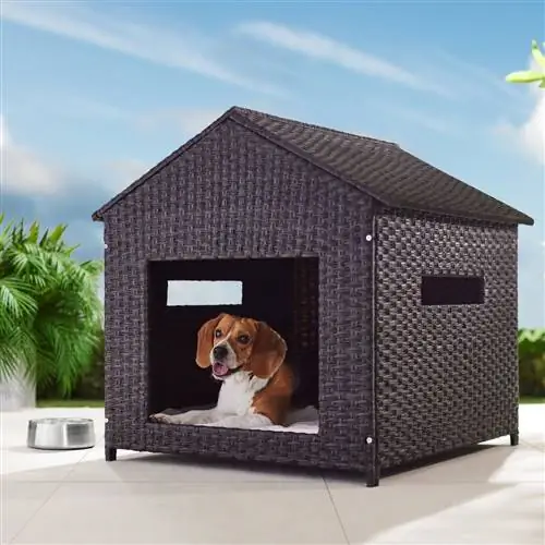 Frisco Outdoor Wicker Dog House & Bed