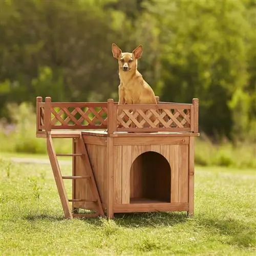 Merry Products Kamer met 'n uitsig Wood Dog & Cat House