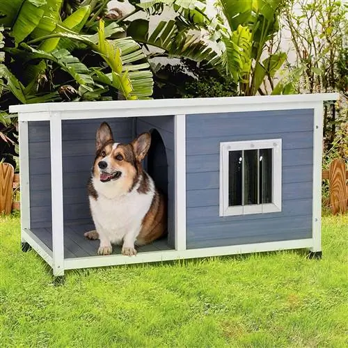 Rumah Anjing Luar Ruangan Petsfit