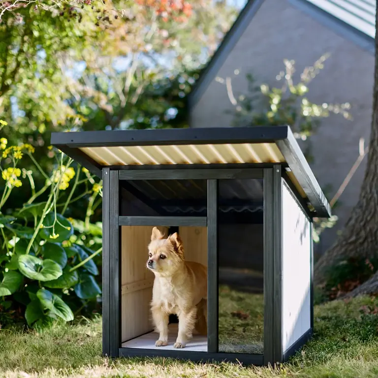 Frisco Rumah Anjing Luar Ruangan Kayu Modern