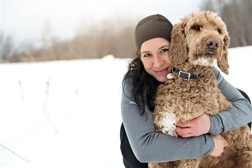 Dona abraçant el seu gos goldendoodle a l'aire lliure durant l'hivern