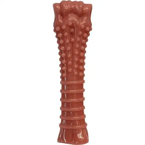 Nylabone Fais Fab Chew Bacon Flavored Dog Chew Toy