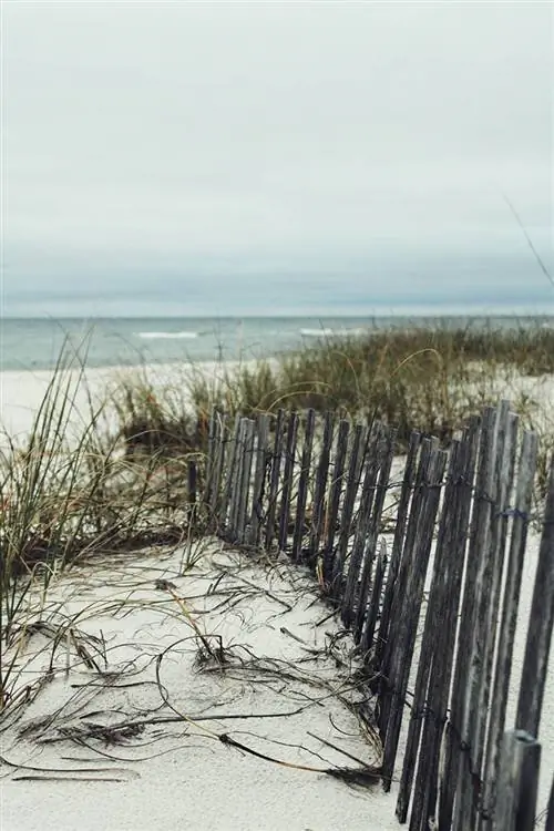 playa naranja en alabama