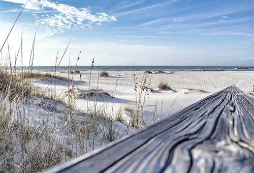 Is Orange Beach hondvriendelijk? Alles wat u moet weten