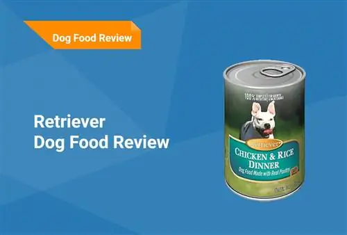 Retriever Dog Food Review 2023: Stiahnutie, výhody & Zápory