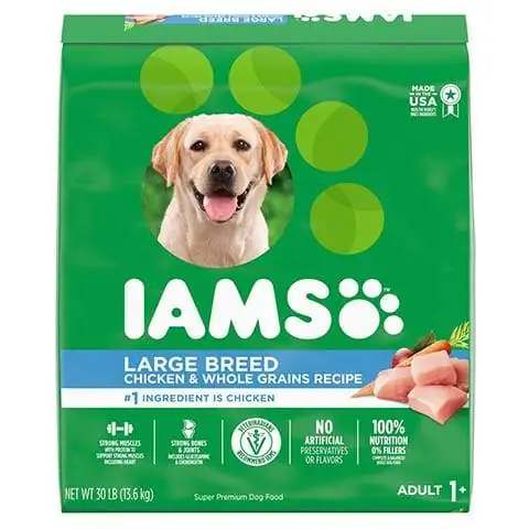 Iams ზრდასრული დიდი ჯიშის ნამდვილი ქათამი მაღალი ცილოვანი