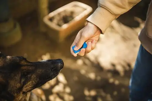 clicker die een duitse herdershond traint