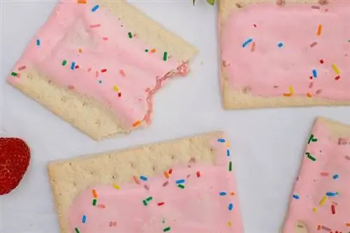 Chó có thể ăn Pop Tarts không? Bạn nên biết điều gì