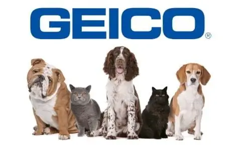 Geico naminių gyvūnėlių draudimo logotipas