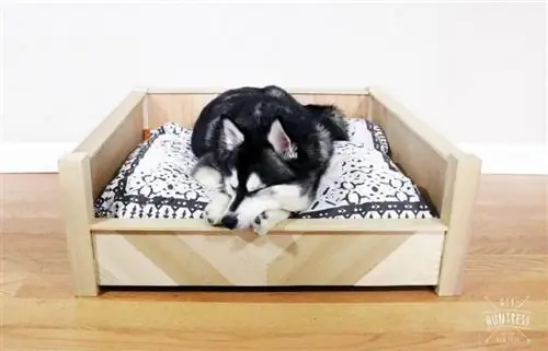 DIY Chevron-Hundebett aus Holz