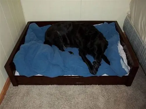 cama de cachorro de madeira grande diy