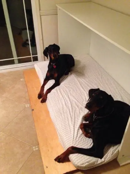 Ikea-Hack! SIDE MURPHY BED _Hundebett