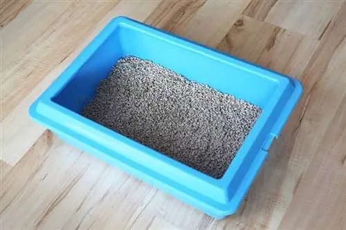 caja de arena para gatos en un piso de madera